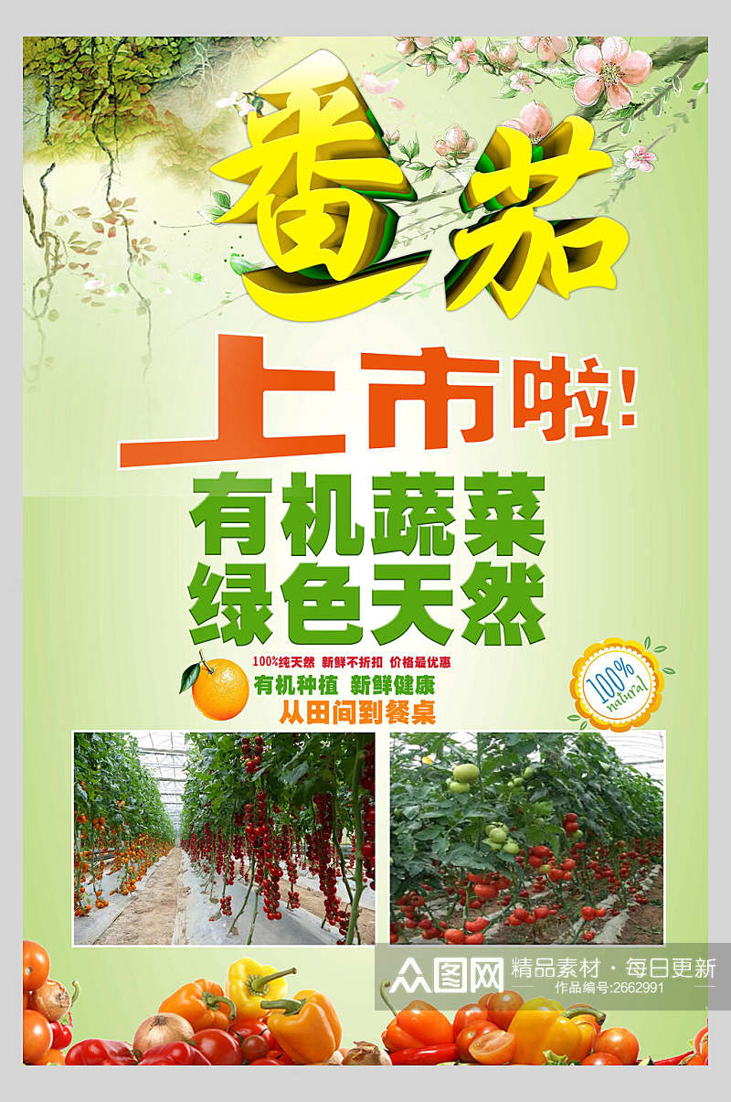 有机蔬菜西红柿番茄海报素材