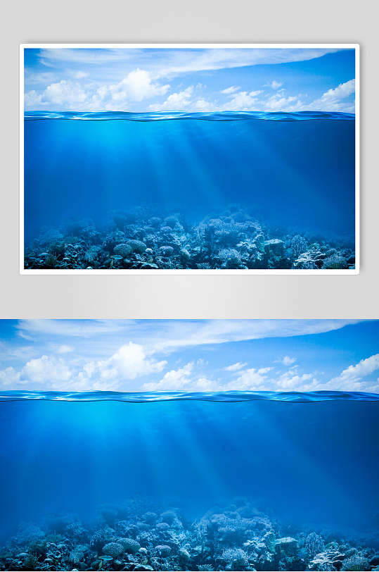 绿色海底世界海洋生物摄影图片