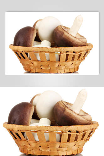 精品新鲜蘑菇香菇食品图片