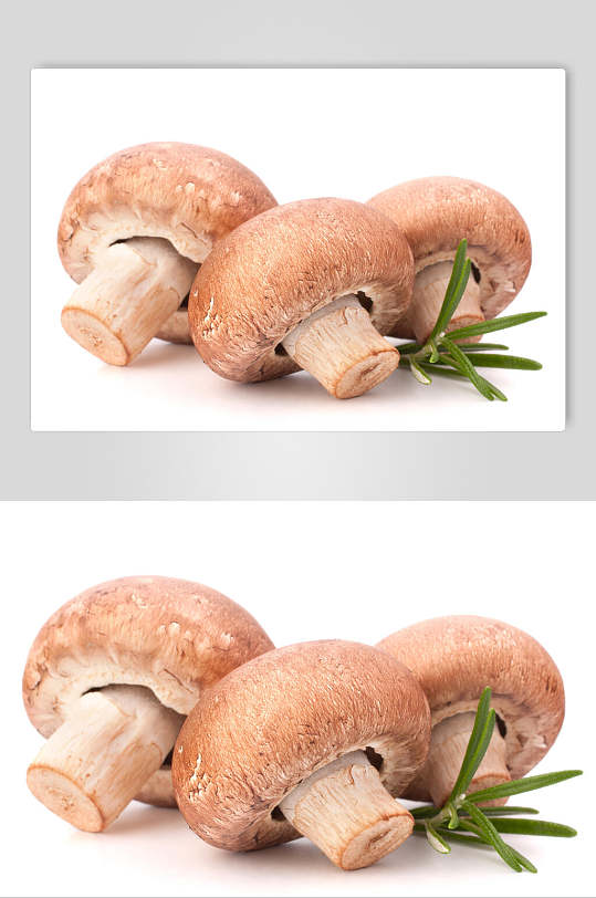鲜香蘑菇香菇餐饮食物图片