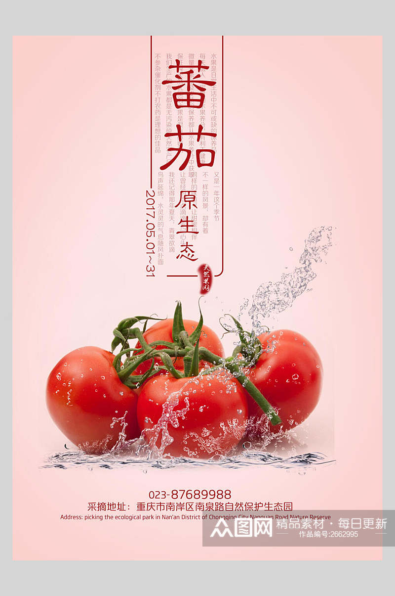 粉色原生态西红柿番茄海报素材