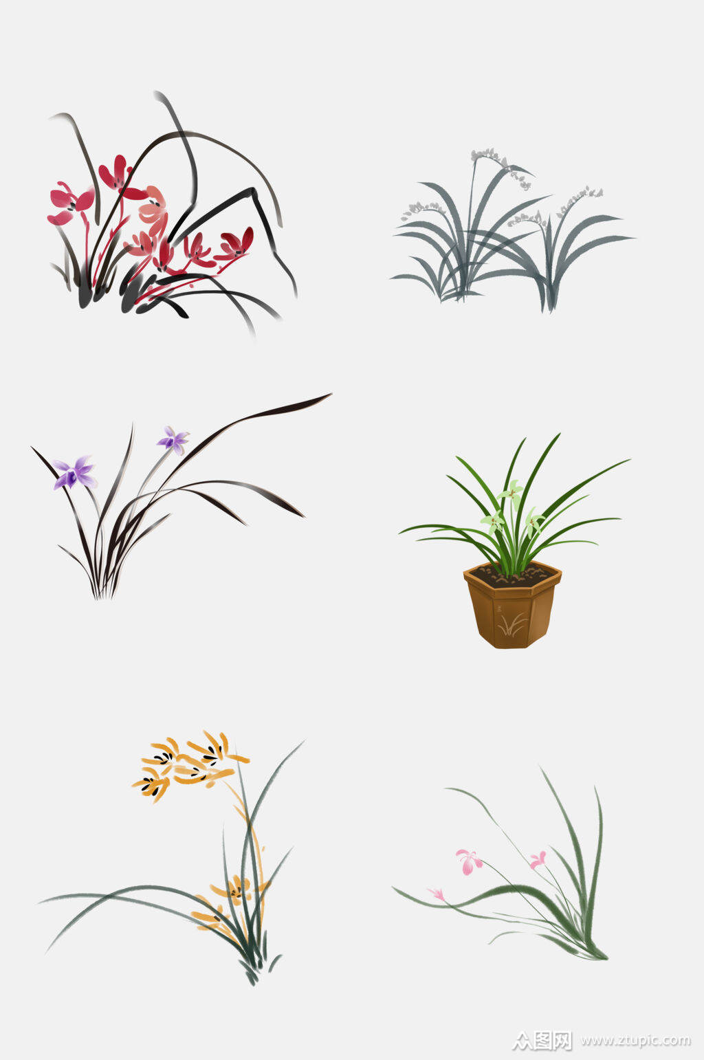 中国风水墨植物兰花兰草免抠素材