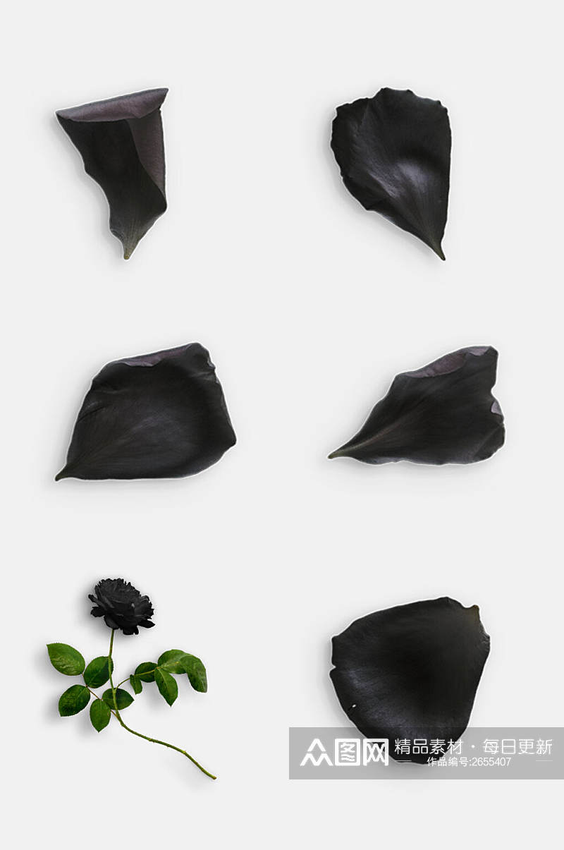简洁黑色鲜花玫瑰花免抠元素素材
