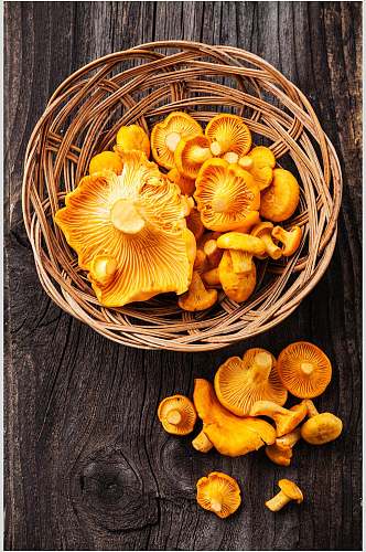 铜锣菌蘑菇香菇图片餐饮食品图片