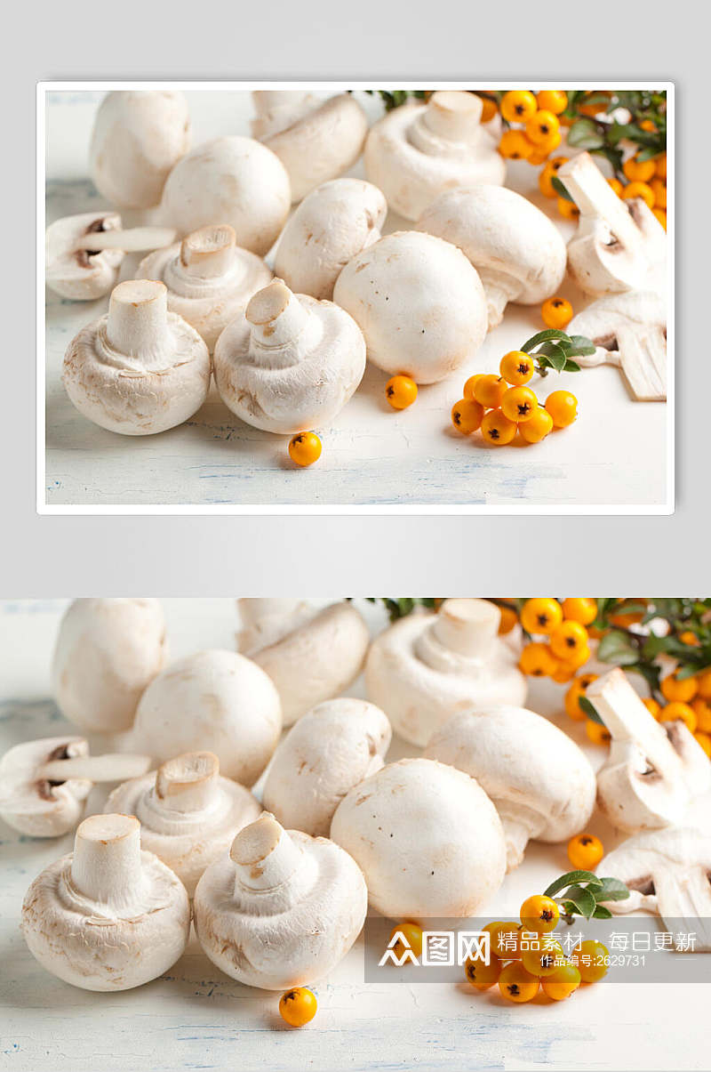 精选白色蘑菇香菇餐饮食物图片素材