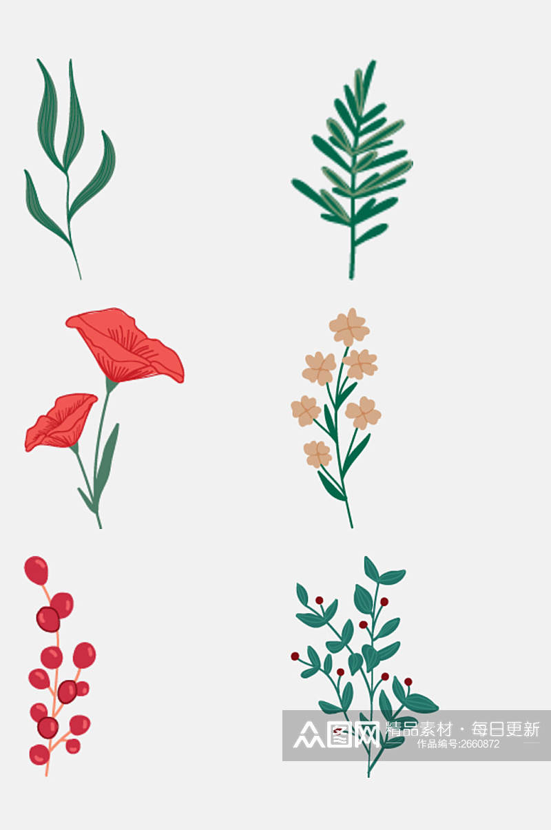 清新花卉植物插画免抠素材素材