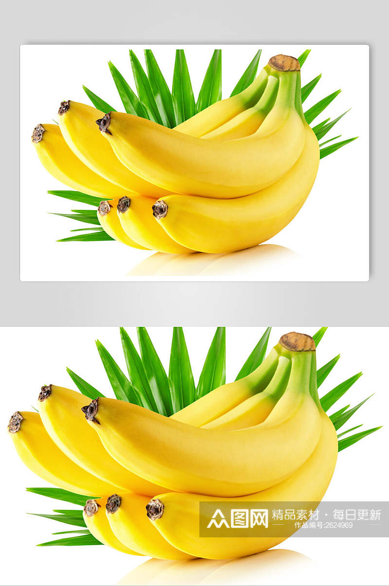清新金黄美味香蕉图片素材