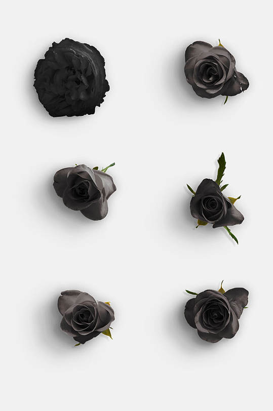 简洁黑色花朵玫瑰花免抠元素
