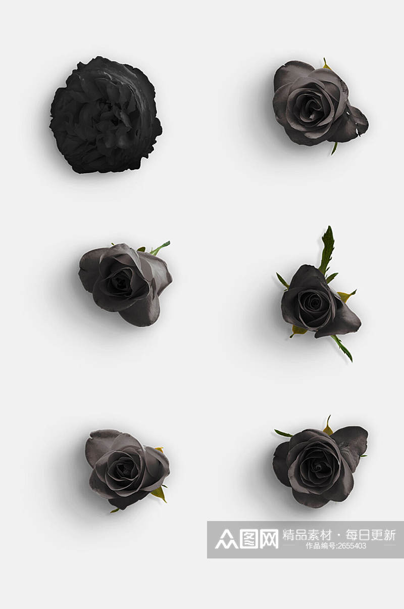 简洁黑色花朵玫瑰花免抠元素素材