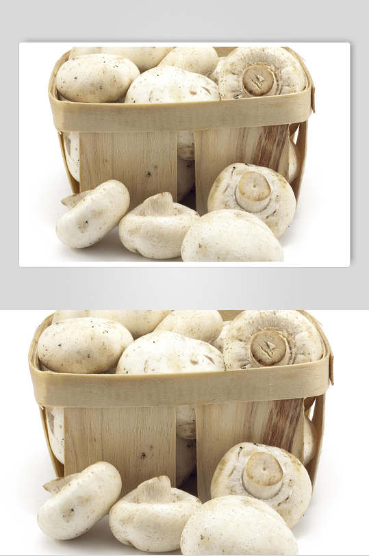 白色蘑菇香菇餐饮食物图片