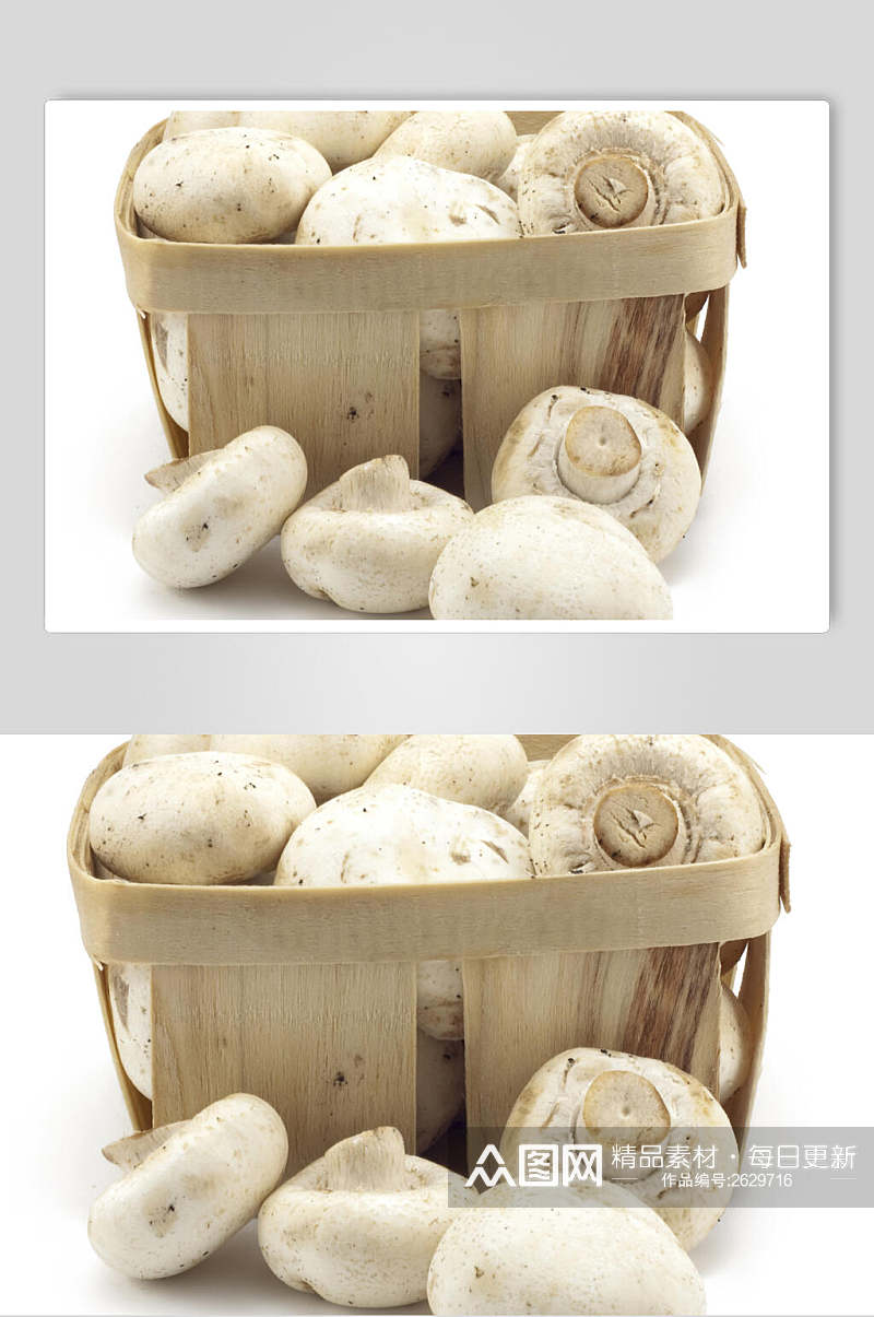 白色蘑菇香菇餐饮食物图片素材
