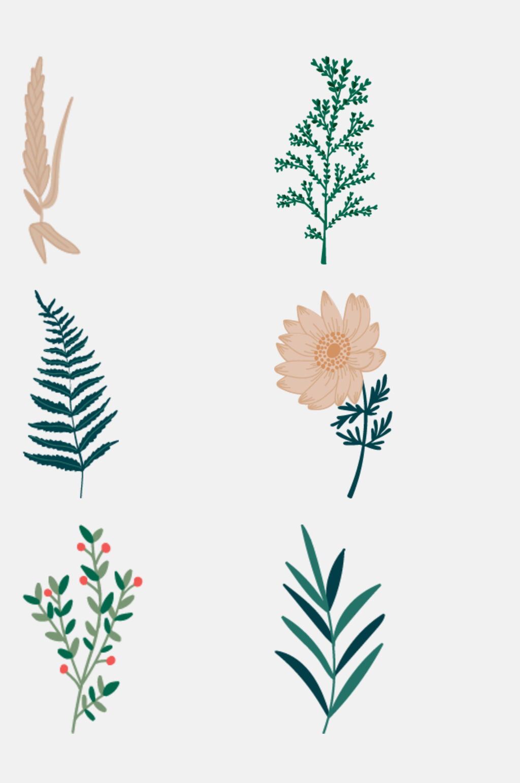 唯美时尚清新花卉植物插画免抠素材