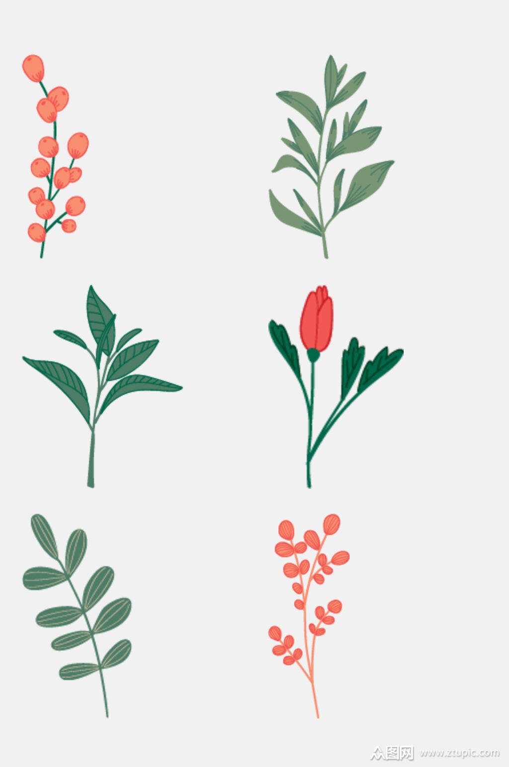 简洁清新树叶花卉植物插画免抠素材