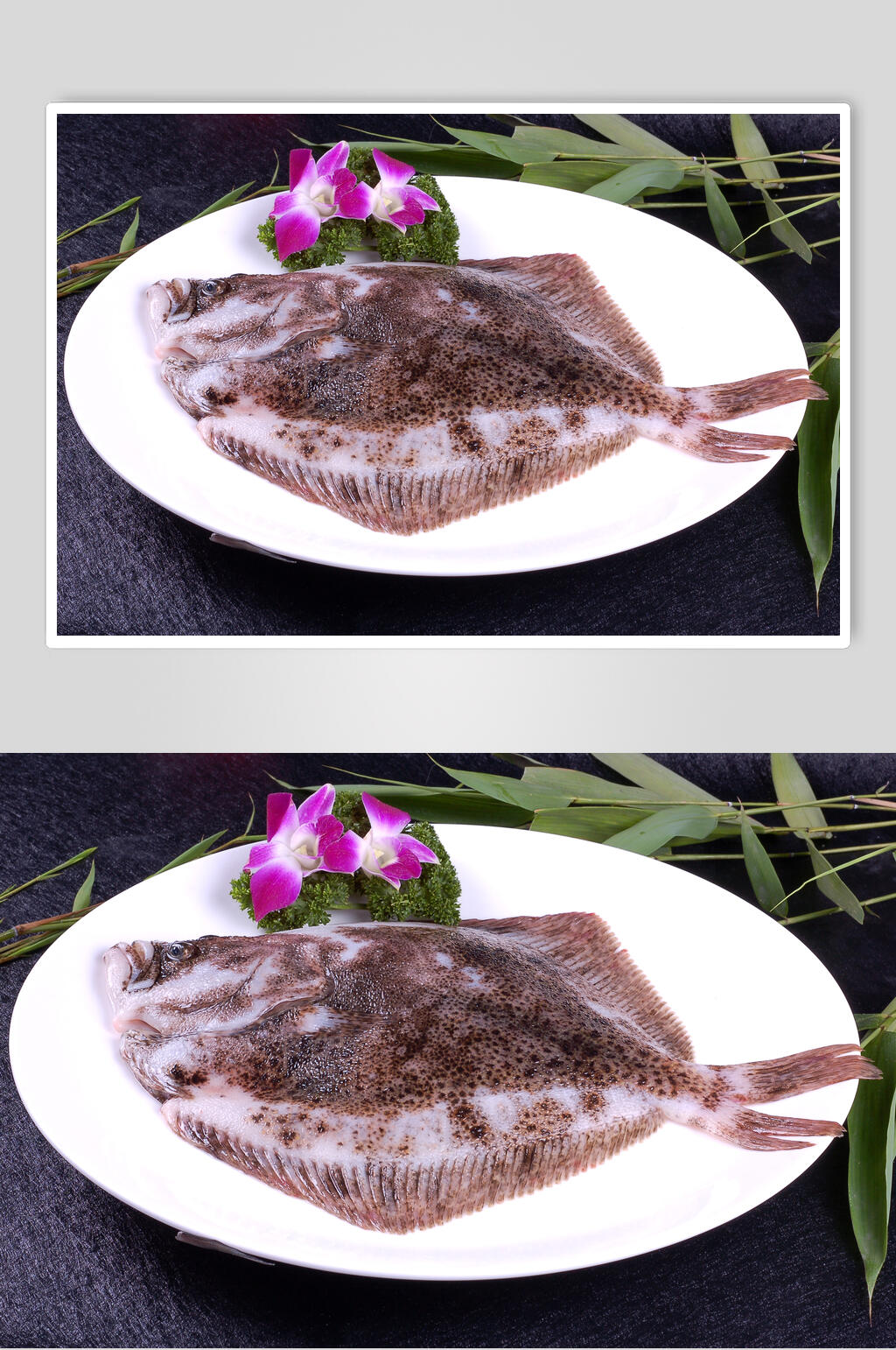 精品活海鲜多宝鱼餐饮摄影图片素材