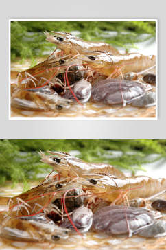 精品基尾虾餐饮高清图片