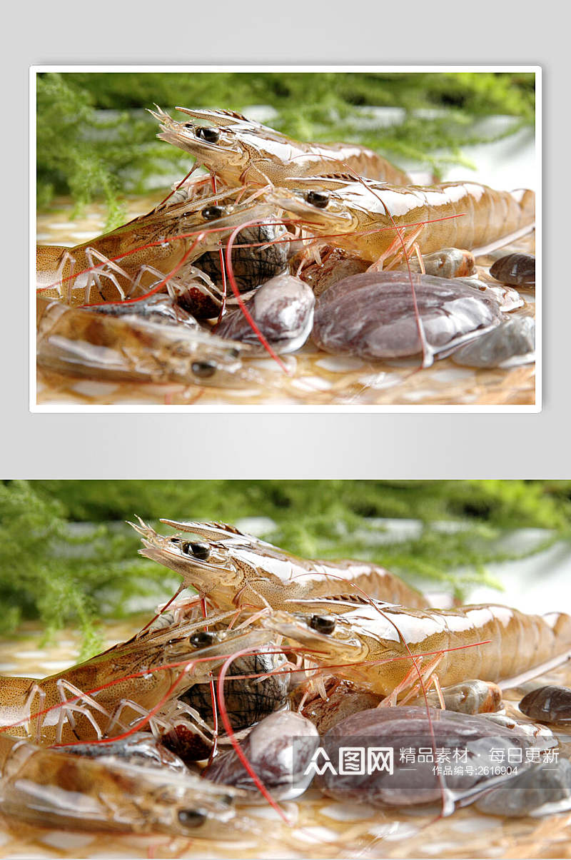 精品基尾虾餐饮高清图片素材