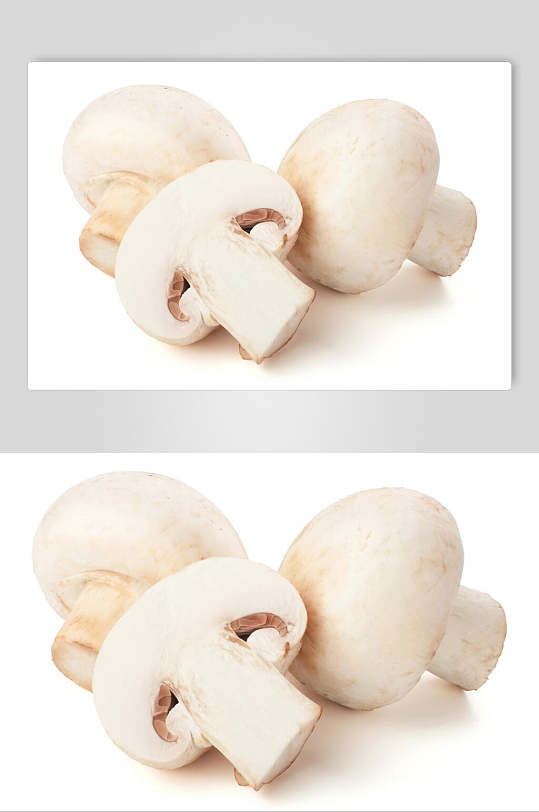 白色蘑菇香菇食品图片-众图网