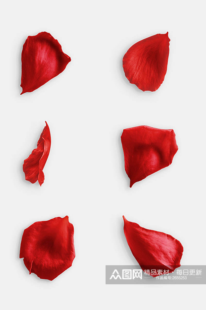 简洁红色花瓣玫瑰花免抠元素素材