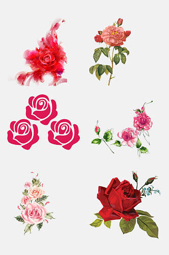 鲜花花卉玫瑰花手绘水彩免抠素材