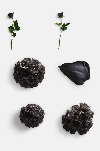 创意黑色花束花瓣玫瑰花免抠元素