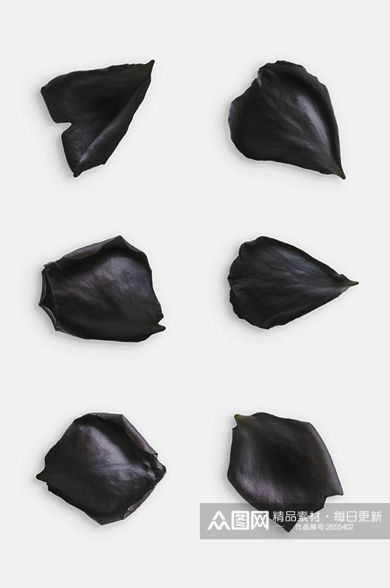 简洁黑色花瓣玫瑰花免抠元素素材