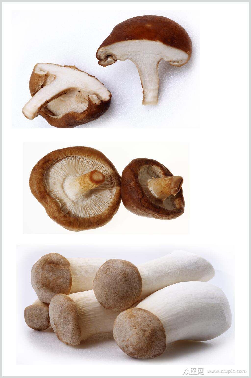 鲜香美味蘑菇香菇餐饮食物图片