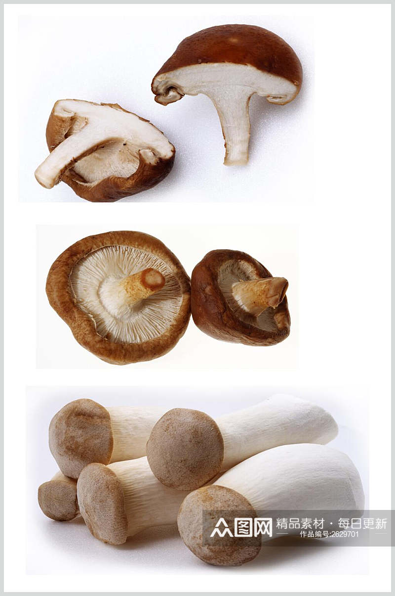 鲜香美味蘑菇香菇餐饮食物图片素材