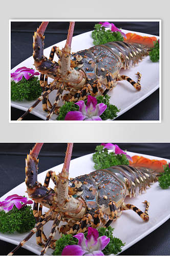 深海龙虾刺身食物高清图片