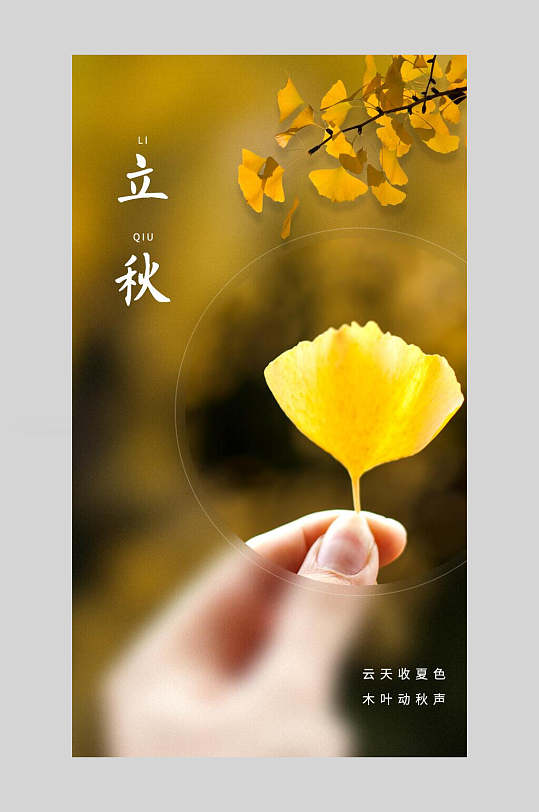 金黄色银杏叶中国二十四节气立秋海报