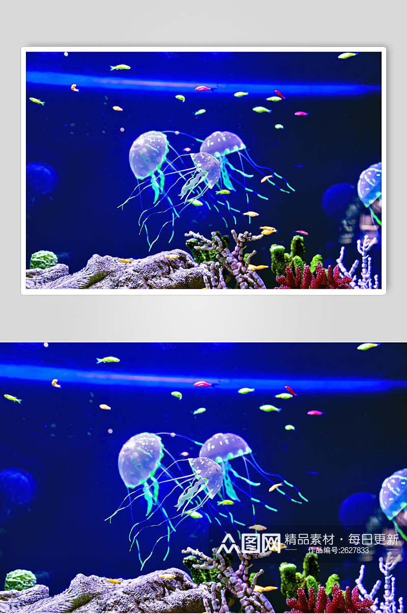 唯美水母海底世界海洋生物图片素材