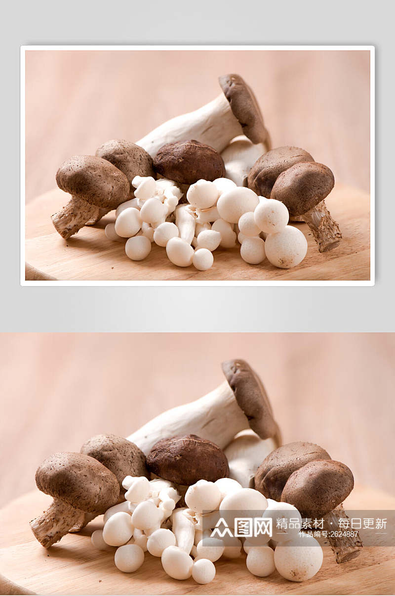 鲜香美味蘑菇香菇图片素材