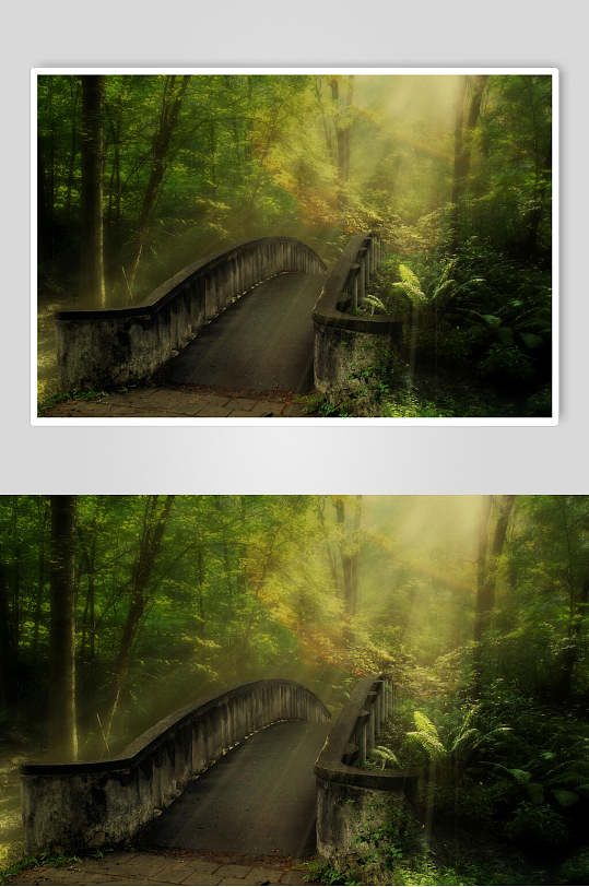 创意动漫唯美迷幻森林图片