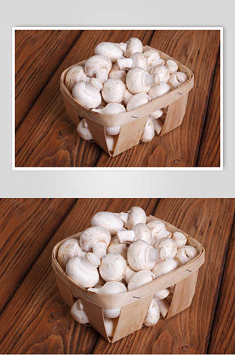 新鲜蘑菇香菇食品图片