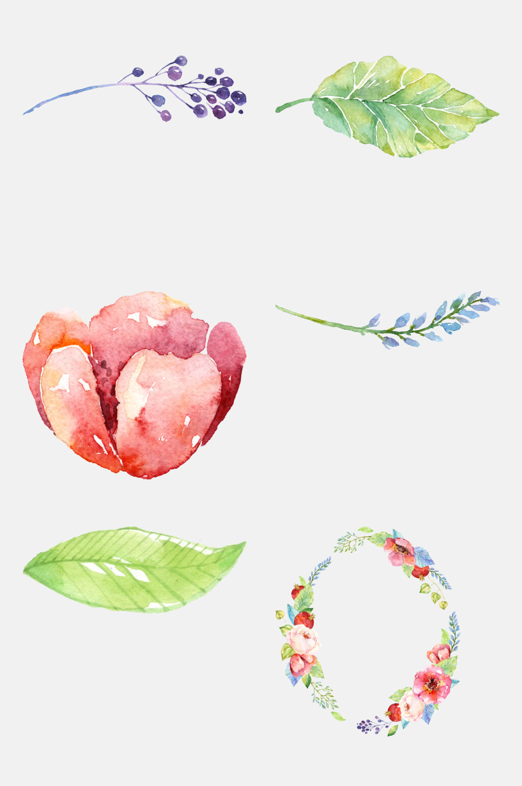 创意花卉鲜花彩绘免抠素材素材