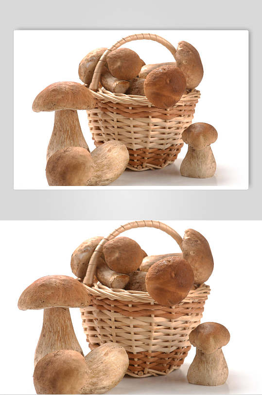 白底新鲜蘑菇香菇餐饮食品图片