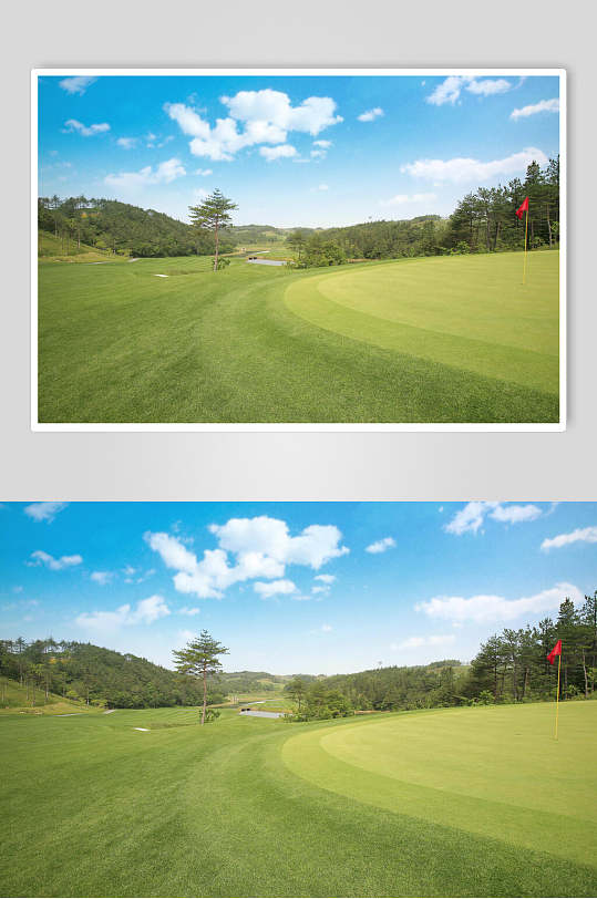 高尔夫运动草地图片