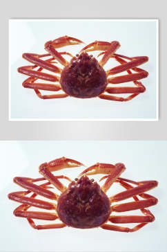 极简创意螃蟹海鲜美食餐饮食品图片