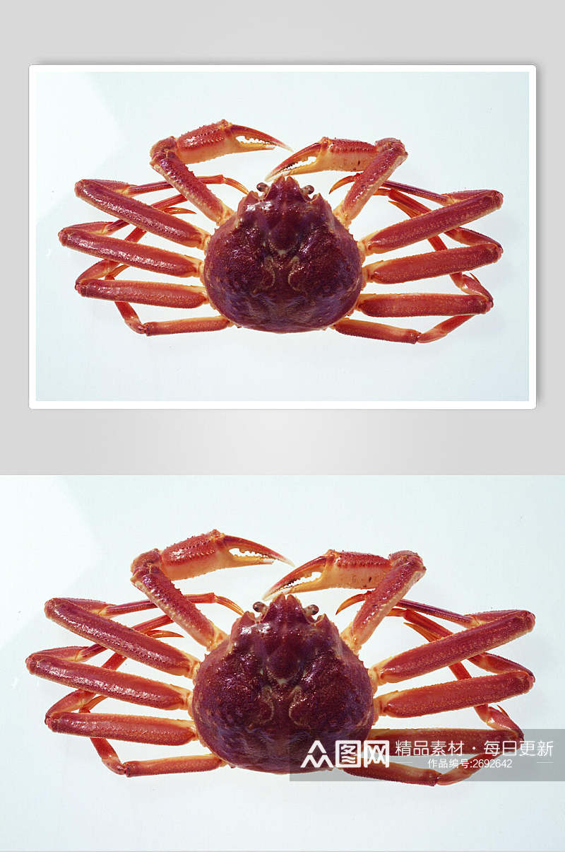 极简创意螃蟹海鲜美食餐饮食品图片素材