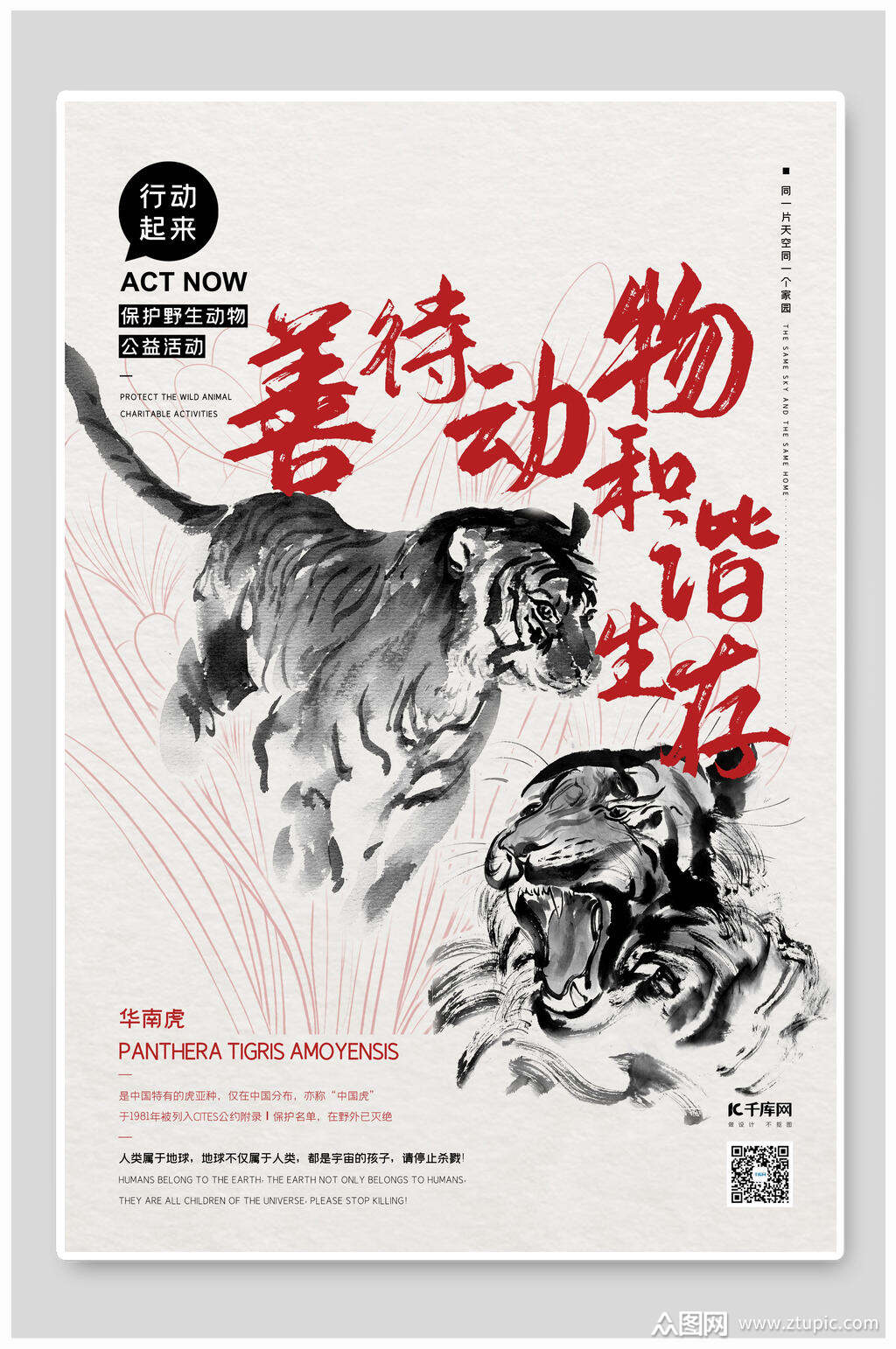 动物权利(动物权利活动家是什么)