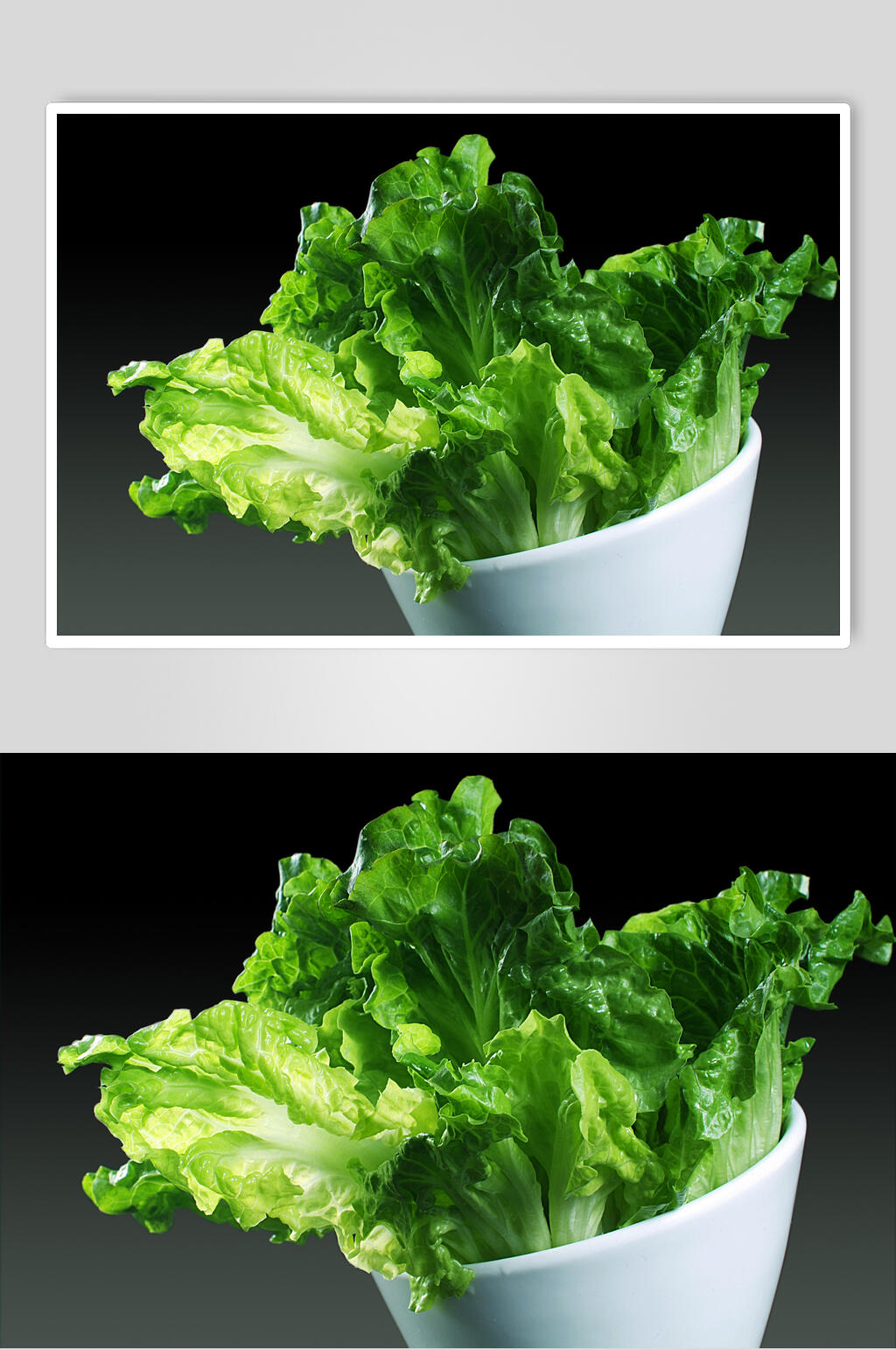 新鲜素生菜食物摄影图片素材