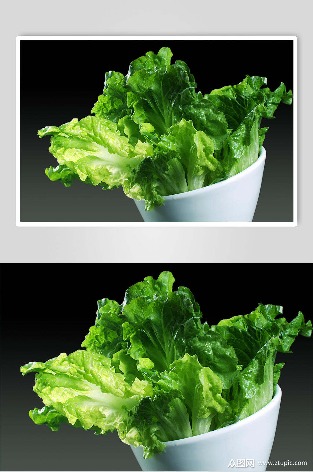 新鲜素生菜食物摄影图片素材