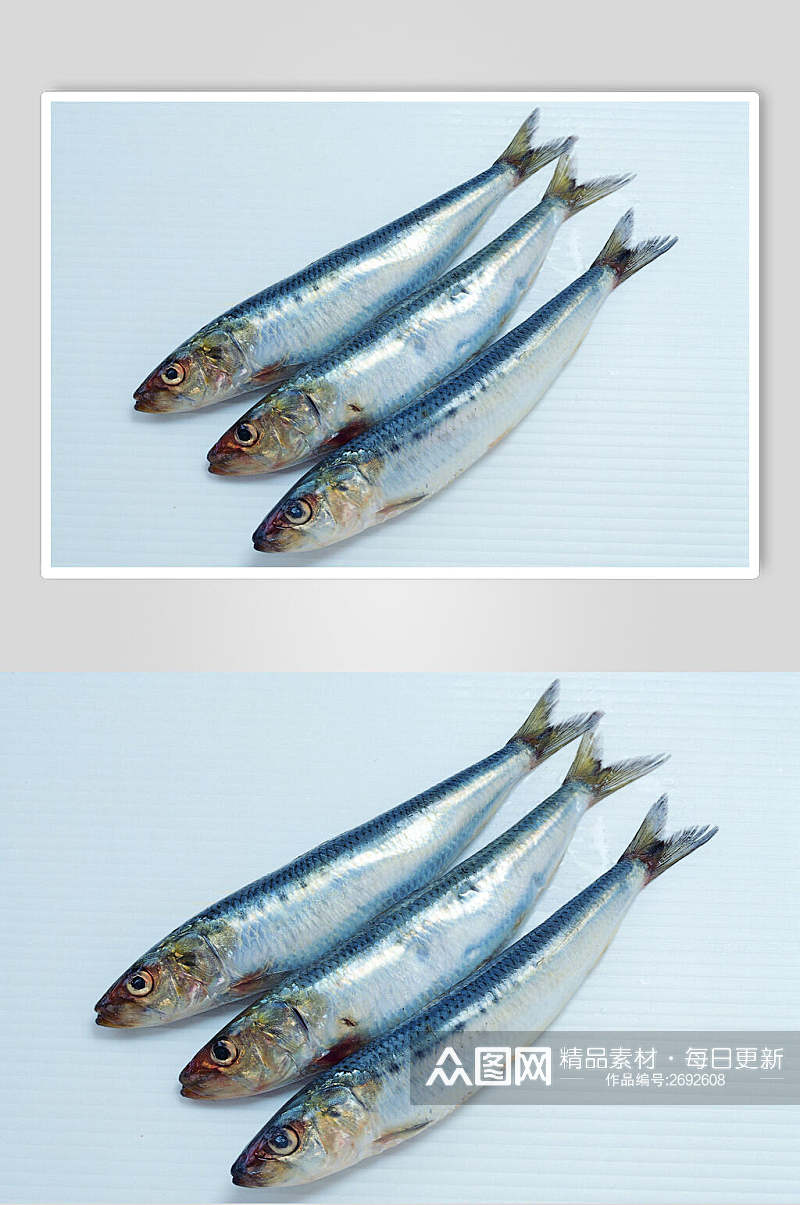 刀鱼海鲜美食餐饮食品图片素材
