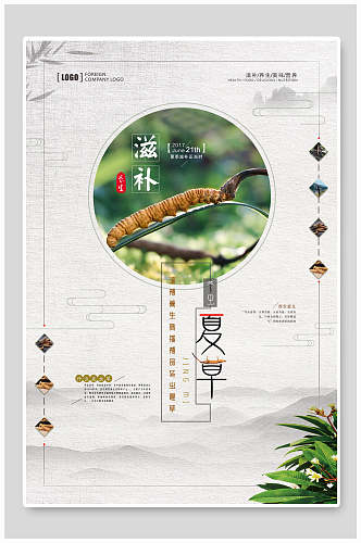 滋补冬虫夏草中医理疗养生行业海报