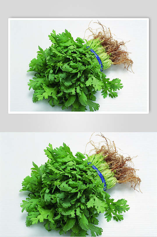 绿色香菜蔬菜摄影图片
