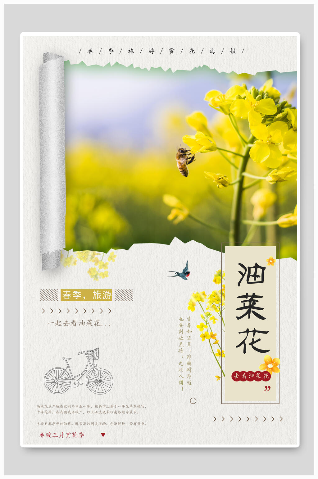撕纸风油菜花旅游海报素材