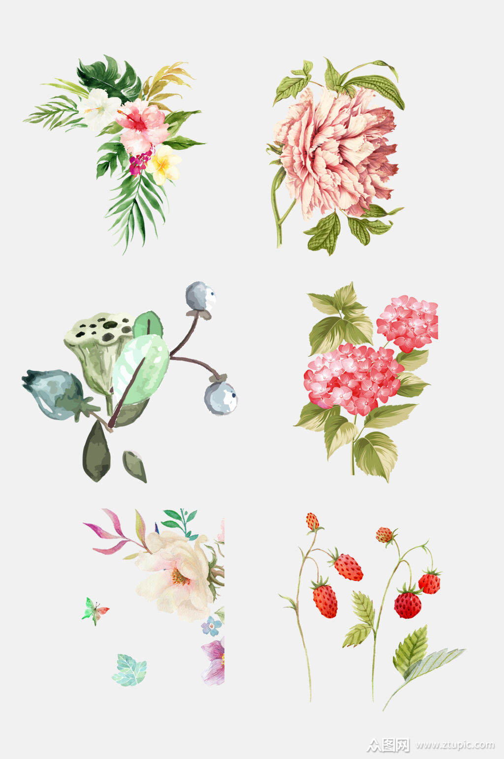 ˮֻʻ仨ز