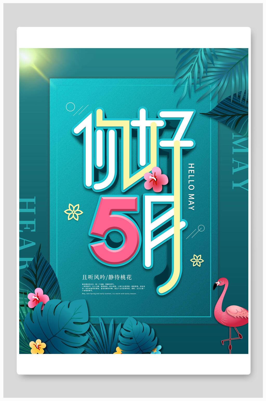清新热带植物你好五月海报素材