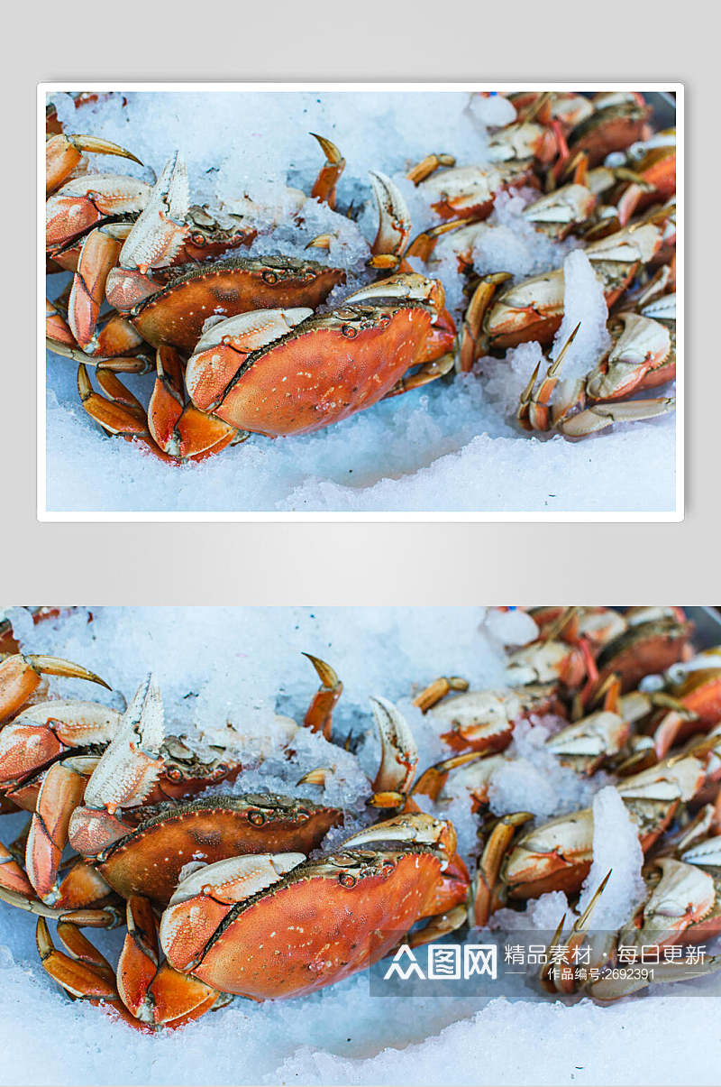 冰镇大闸蟹水产品海鲜餐饮摄影图片素材