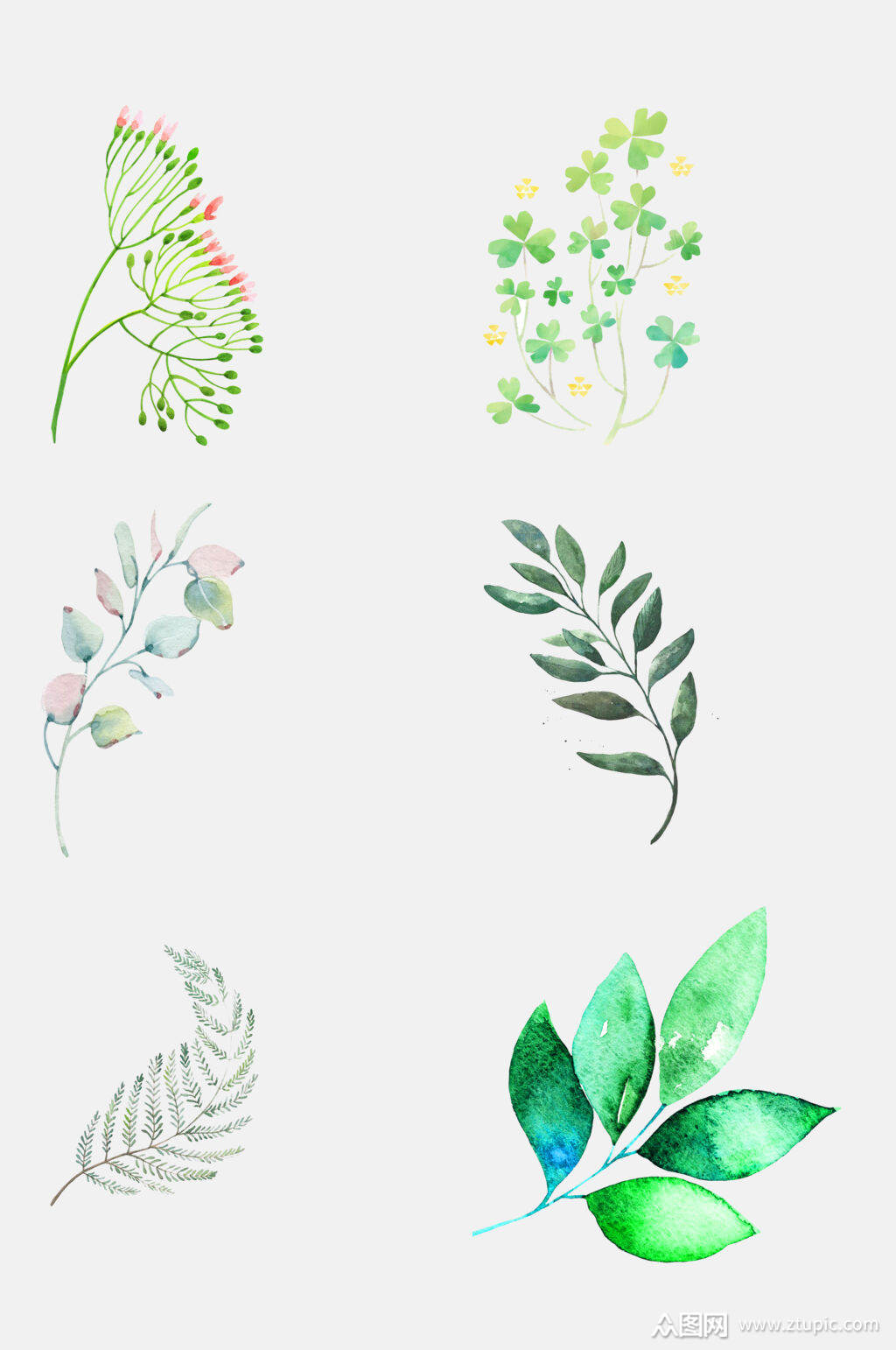 清新水彩手绘植物免抠素材