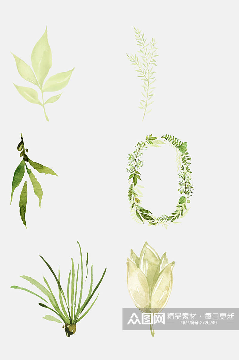 清新叶子植物插画免抠素材素材